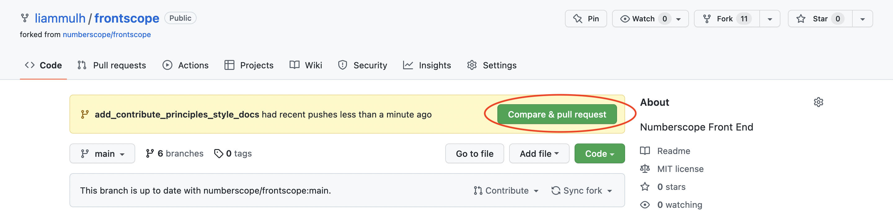 A screenshot of the Compare & pull request
button